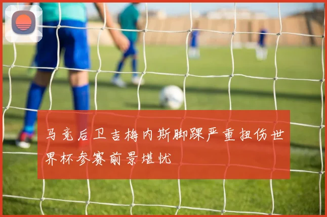 马竞后卫吉梅内斯脚踝严重扭伤世界杯参赛前景堪忧