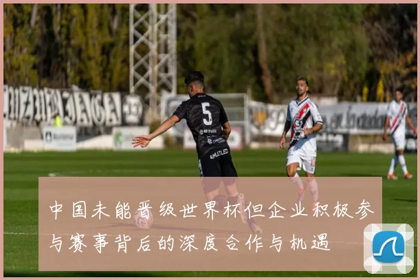 中国未能晋级世界杯但企业积极参与赛事背后的深度合作与机遇